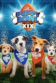 Watch Free Puppy Bowl XIX (2023)