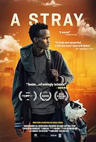 Watch Free A Stray (2016)