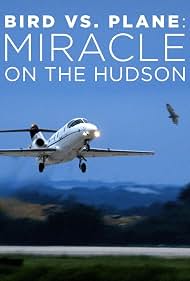 Watch Free Bird vs Plane Miracle on the Hudson (2018)