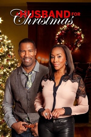 Watch Free A Husband for Christmas (2016)