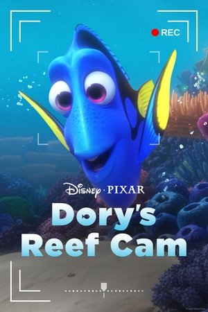 Watch Free Dorys Reef Cam (2020)