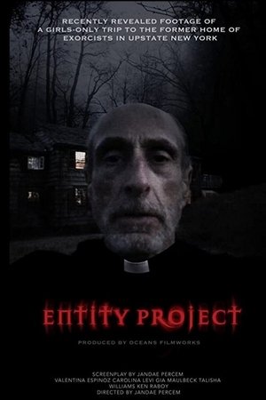 Watch Free Entity Project (2019)