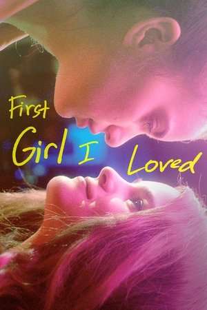 Watch Free First Girl I Loved (2016)