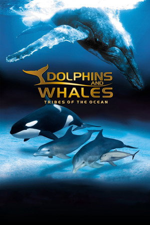 Watch Free Dolphins and Whales 3D Tribes of the Ocean (2008)