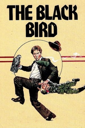 Watch Free The Black Bird (1975)