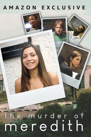 Watch Free The Murder of Meredith (2022)