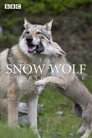 Watch Free The Snow Wolf A Winters Tale (2018)