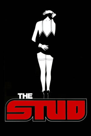 Watch Free The Stud (1978)