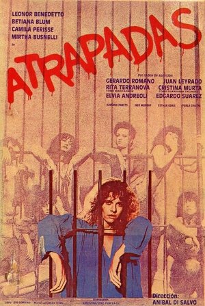 Watch Free Condemned to Hell (1984)