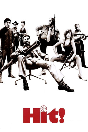 Watch Free Hit! (1973)