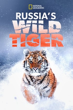 Watch Free Russias Wild Tiger (2022)