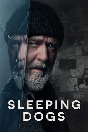 Watch Free Sleeping Dogs (2024)
