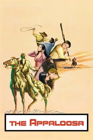 Watch Free The Appaloosa (1966)