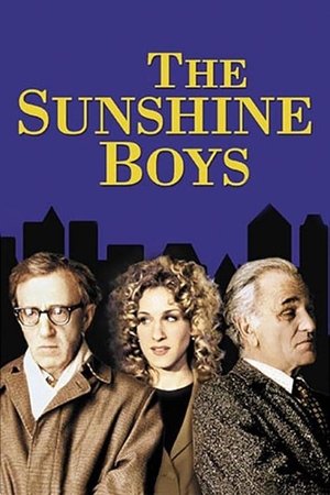 Watch Free The Sunshine Boys (1996)