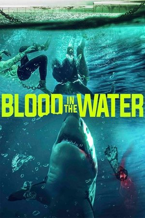 Watch Free Blood in the Water I (2022)