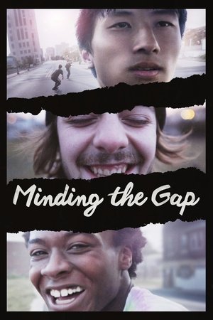 Watch Free Minding the Gap (2018)