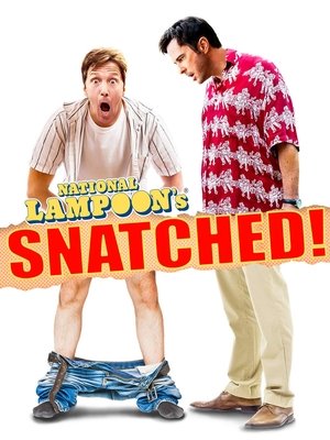 Watch Free Snatched (2011)