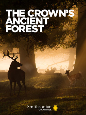 Watch Free The Crowns Ancient Forest (2021)