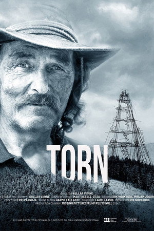 Watch Free Torn (2024)
