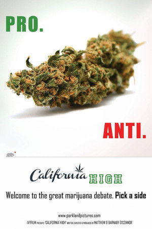 Watch Free California High (2015)