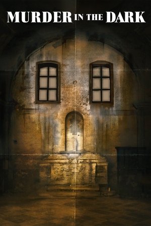 Watch Free Murder in the Dark (2013)
