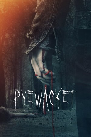 Watch Free Pyewacket (2017)