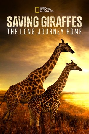 Watch Free Saving Giraffes The Long Journey Home (2022)
