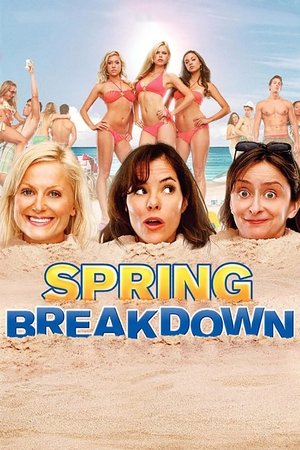 Watch Free Spring Breakdown (2009)