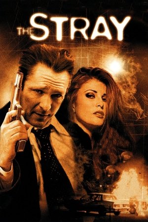 Watch Free The Stray (2000)