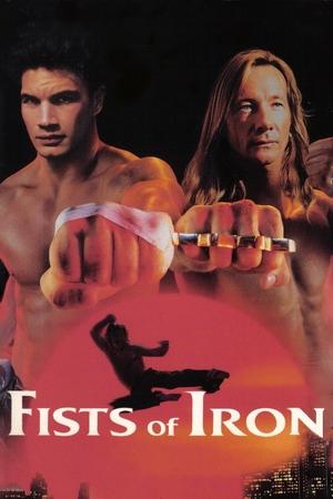 Watch Free Fists of Iron (1995)
