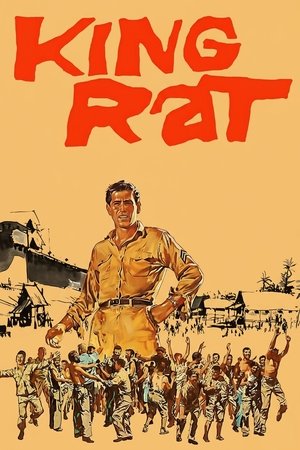 Watch Free King Rat (1965)