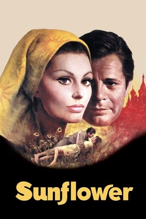 Watch Free Sunflower (1970)