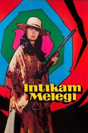 Watch Free Intikam Melegi Kadin Hamlet (1976)