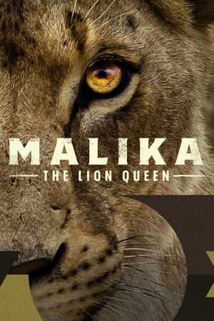 Watch Free Malika the Lion Queen (2021)