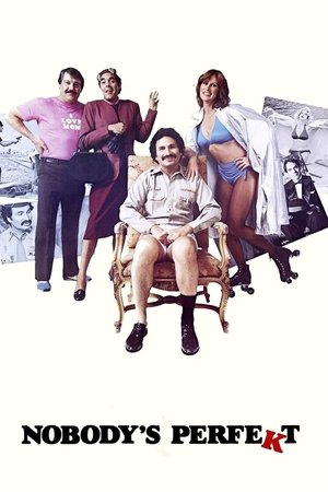 Watch Free Nobodys Perfekt (1981)
