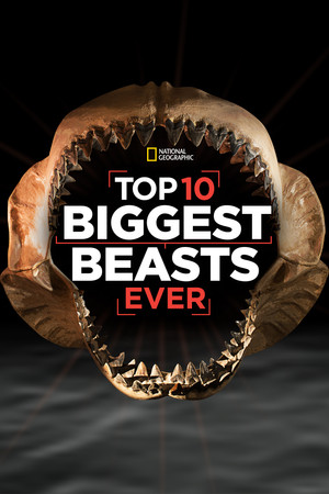 Watch Free Top 10 Biggest Beasts Ever (2015)