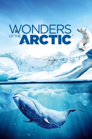 Watch Free Wonders of the Arctic 3D (2014)