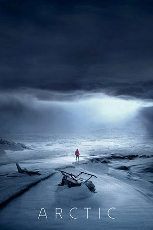 Watch Free Arctic (2018)