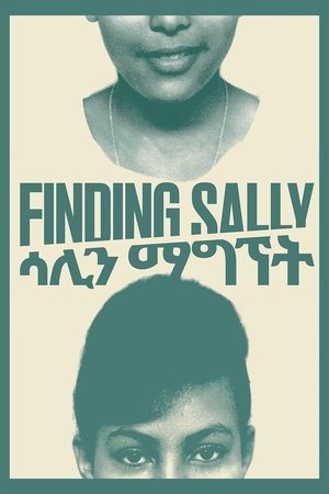 Watch Free Finding Sally (2020)