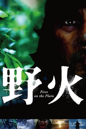 Watch Free Fires on the Plain (2014)