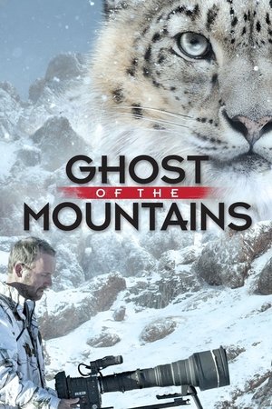 Watch Free Ghost of the Mountains (2017)