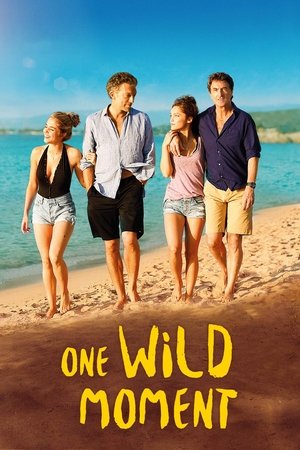 Watch Free One Wild Moment (2015)