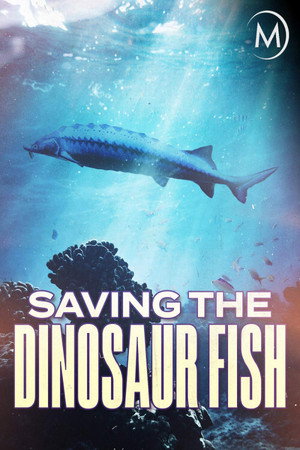 Watch Free Saving the Dinosaur Fish (2020)