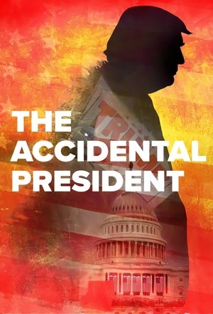 Watch Free The Accidental President (2020)