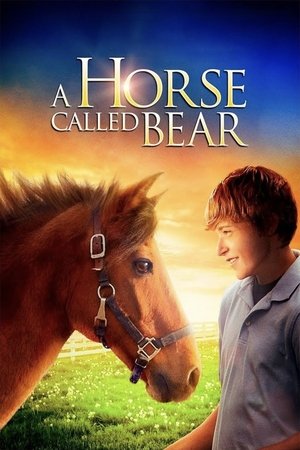 Watch Free A Horse Called Bear (2015)