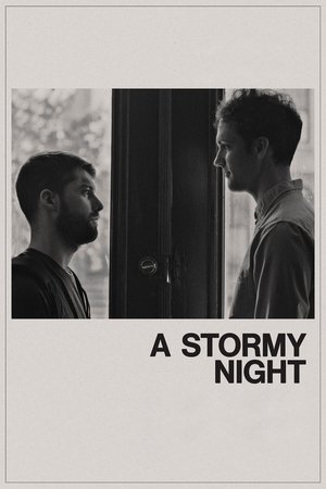 Watch Free A Stormy Night (2020)