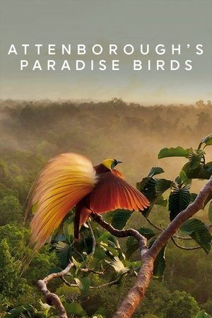 Watch Free Attenboroughs Paradise Birds (2015)
