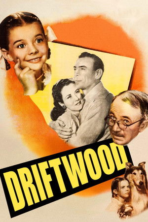 Watch Free Driftwood (1947)