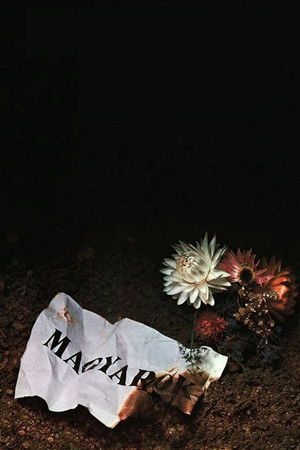 Watch Free Magyarok (1978)