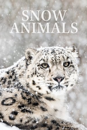 Watch Free Snow Animals (2019)